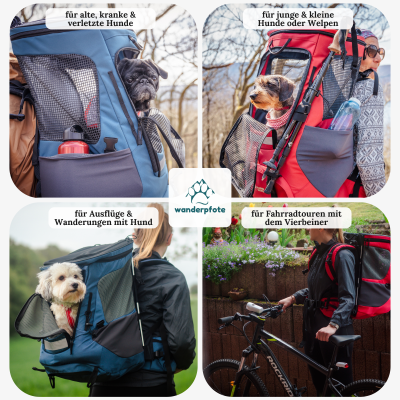 Thumbnail 7: Wanderpfote Hunderucksack bis 12kg - Modell Daypack, Größe M, Blau - Premium Rucksack für kleine bis mittelgroße Hunde