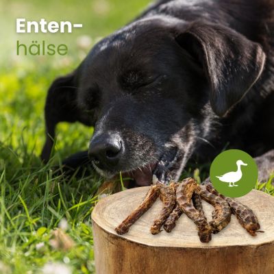 Thumbnail 2: kauartikel.com Enten-Hälse - Hunde-Kauartikel - Hunde-Snack - Kausnack - Leckerli von der Ente