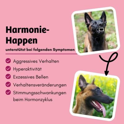 Thumbnail 3: BugBell Veganes Nassfutter Hormonbalance