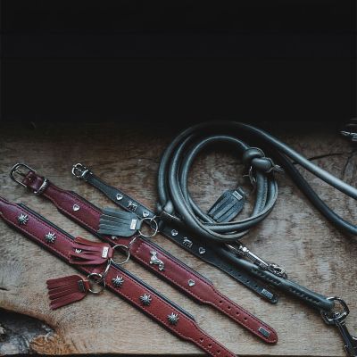 Thumbnail 10: HUNTER Verstellbare Führleine Round & Soft München 6/200, grün