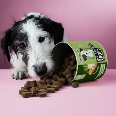 Thumbnail 2: Tierliebhaber Gras und Kotfresser Drops für Hunde - Natürliche Hilfe bei Sodbrennen sowie Gras- und Kotfressen