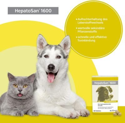 Thumbnail 4: alfavet HepatoSan 1600 120 Tabl.