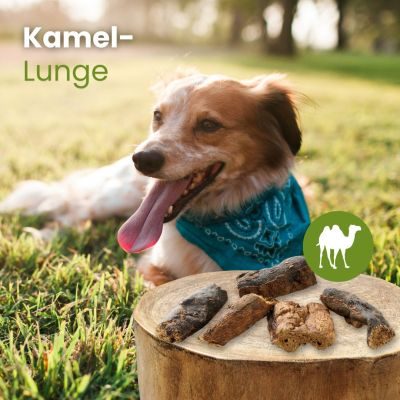 Thumbnail 2: kauartikel.com Kamel-Lunge - hypoallergener Hunde-Kauartikel - Hunde-Snack - Kausnack - Leckerli