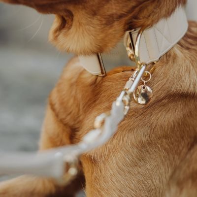 Thumbnail 4: Vitomalia VitomaliaPiñatex Luxus-Hundehalsband aus nachhaltiges Ananas-Leder in Beige