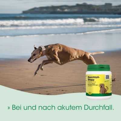 Thumbnail 2: cdVet DurchfallStopp 180 g - Für Hunde & Katzen bei akutem Durchfall