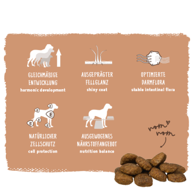 Thumbnail 5: bosch Tiernahrung HPC Maxi Adult Hundefutter – Weizenfrei – 3kg