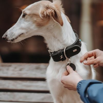 Thumbnail 9: HUNTER Halsband Madona M-L (60), schwarz