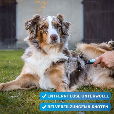 Thumbnail 9: BluePet Großes Filz- und Knotenfrei-Set (Entfilzer Rechshänder, Knotenmesser, UnterwollHarke und Fellspray) - löst Verfilzungen, Knötchen und Unterwolle aus dem Fell (Langhaar)