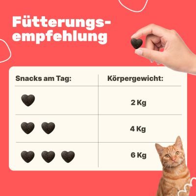 Thumbnail 8: Patsli Katze hat Durchfall? Präbiotische Snacks für gesunde Darmflora