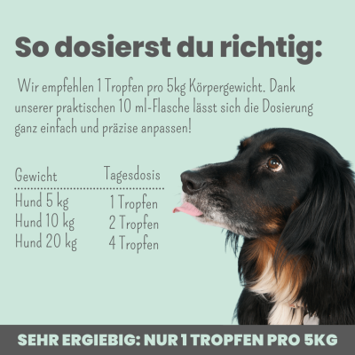 Thumbnail 2: Noms+ 10% CBD Tropfen für Hunde