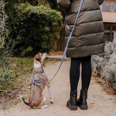 Thumbnail 8: Hey Lana Multifunktionsleine Kunterbunt Gepolstert - 3-fach verstellbar Mocca / Blau / 15/230