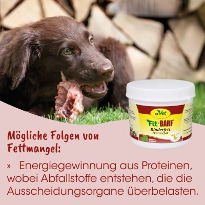 Thumbnail 4: Fit-BARF® Rinderfett 500 ml – Reines tierisches Fett zur Ergänzung bei BARF