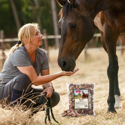 Thumbnail 3: PANTO Leckerli Apfel & Karotte 1kg (Tüte)