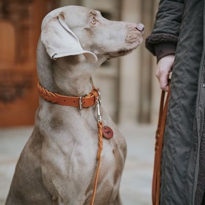 Thumbnail 8: HUNTER Halsband Solid Education Special S (45), cognac