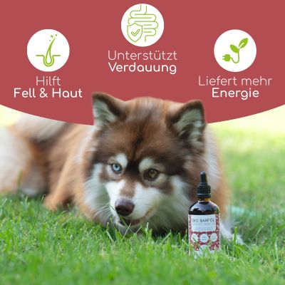 Thumbnail 2: Wolfsbacher Natur Bio Barf-Öl 100ml