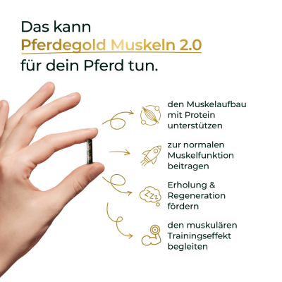 Thumbnail 9: Pferdegold Muskel Eimer 1.5kg