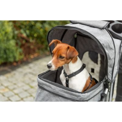 Thumbnail 14: TRIXIE Buggy