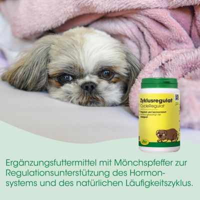 Thumbnail 3: cdVet ZyklusRegulat 120 g – Unterstützung für Hündinnen im hormonellen Ungleichgewicht