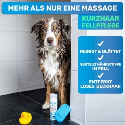 Thumbnail 3: BluePet Gummistriegel & Badebürste für Kurzhaar Hunde & Katzen mit Massageeffekt: Entfernt loses Deckhaar & Schmutz - Badestriegel Hundeshampoo einmassieren