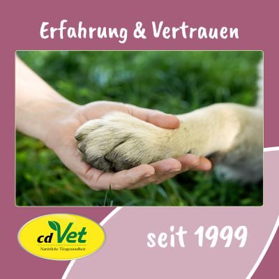 Thumbnail 6: Fit-Hap Kauwurzel S (5 St.) – Natürliches Kauspielzeug aus Hartholz für Hunde