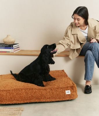 Thumbnail 3: CAFIDE Teddyfell-Hundebett, Cuadra