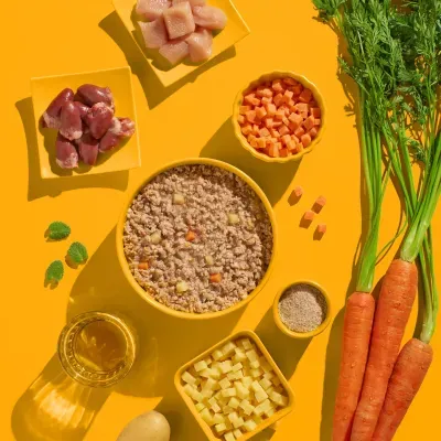 Thumbnail 6: FRED & FELIA FELIA Katzennassfutter Huhn 10x 190g