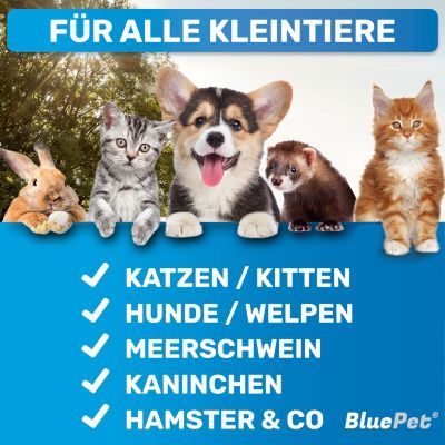 Thumbnail 2: BluePet Kleine sanfte Zupfbürste, Hundebürste & Katzenbürste mit weichen Pins, zur täglichen Anwendung für empfindliche Tiere im Fellwechsel / Welpen geeignet
