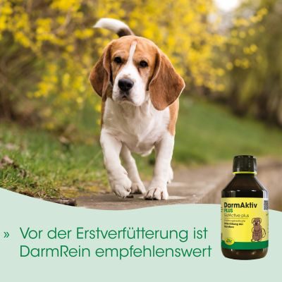 Thumbnail 3: cdVet DarmAktiv plus 250 ml – Natürliche Ergänzung zur Unterstützung einer ausgewogenen Darmflora