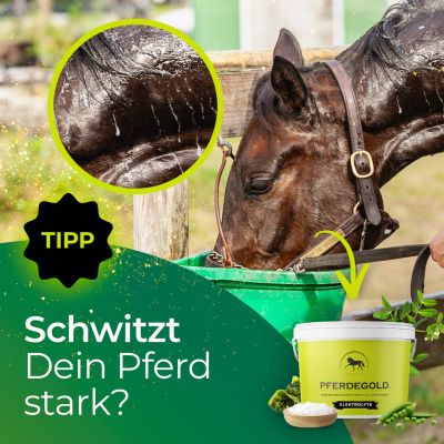 Thumbnail 9: Pferdegold Elektrolyte Eimer 1.5kg