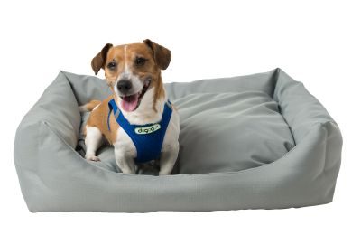 Thumbnail 5: INT4BELUA Bett DOMINO Gr. M