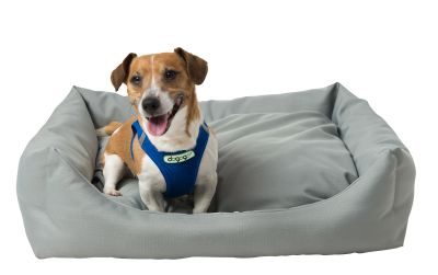 Thumbnail 6: INT4BELUA Bett DOMINO Gr. M