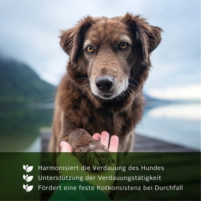 Thumbnail 6: TJURE TJURE - Gastro Liquid - 500 ml | Ursachenbekämpfung bei Durchfall |  unterstützt die Verdauung