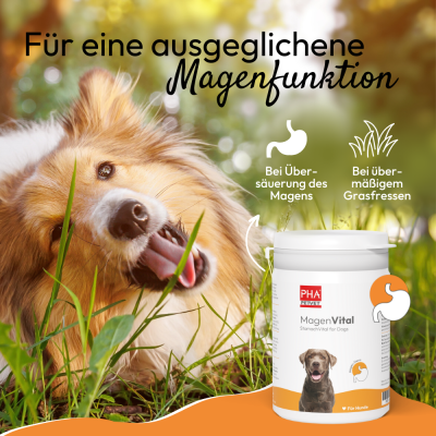 Thumbnail 6: PHA PetVet - PHA MagenVital für Hunde, 200 g - Mineralfuttermittel, Pulver. Für eine ausgeglichene Magenfunktion.