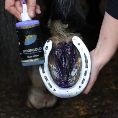 Thumbnail 10: Hoofgold HoofgoldBlueStuff Strahlpflegemittel - Schnelle Hilfe bei Strahlfäule