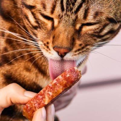 Thumbnail 2: Lucky-Kitty Filet-Sticks Kaninchen Premium-Qualität 20 x 22g