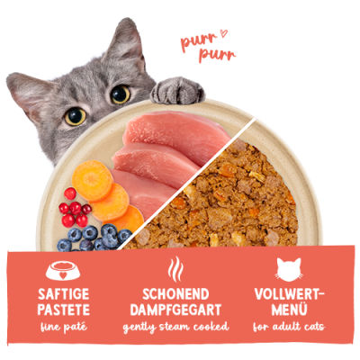 Thumbnail 3: Sanabelle Freshe Mieze Pute & Huhn 12er Pack