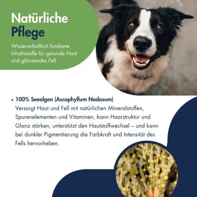 Thumbnail 2: Dr.Clauder’s Pigment Aktiv Algosan 400g