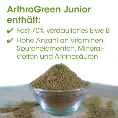 Thumbnail 2: cdVet ArthroGreen Junior 100 Kapseln - Ergänzungsfuttermittel für Jungtiere