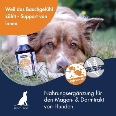 Thumbnail 3: Dr.Clauder´s Intestinal 20 Kräuteröl 250ml