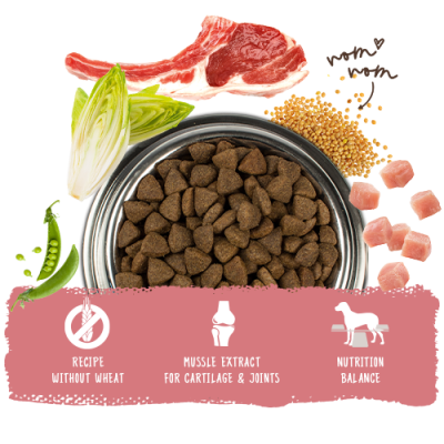 Thumbnail 6: bosch Tiernahrung HPC Lamm & Reis  Hundefutter – leicht verdaulich – 1kg