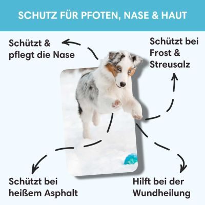 Thumbnail 5: Sollis Pure Liebe - Pfotenbalsam für Hunde mit 3 in 1 Funktion für Pfoten, Nase & Haut 130 ml