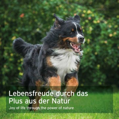 Thumbnail 7: AniForte WermiX für Hunde 250 g