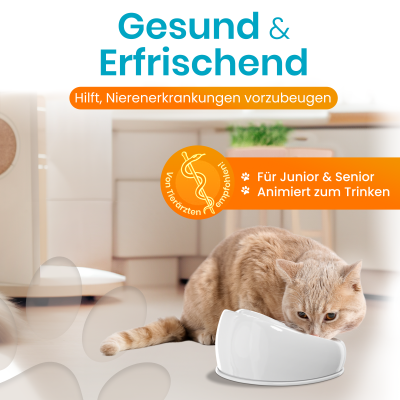 Thumbnail 4: Lucky-Kitty Katzenbrunnen Keramik (Weiss)