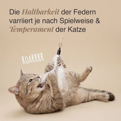 Thumbnail 3: SCHLITZOHR Katzenangel Ersatzfedern 5er Strauß