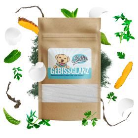 Sollis Gebissglanz Dentalpulver zur Zahnpflege für Hunde 100 g