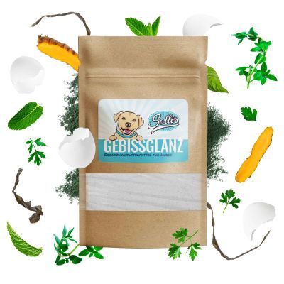 Sollis Gebissglanz Dentalpulver zur Zahnpflege für Hunde 100 g