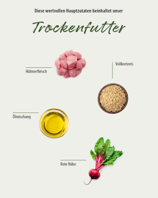 Thumbnail 2: GREEN PAWLY Complete HUHN plus 10 Superfoods