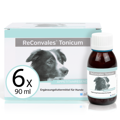 alfavet ReConvales Tonicum Hund 6 x 90 ml