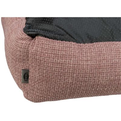 Thumbnail 3: TRIXIE Bett Viviana