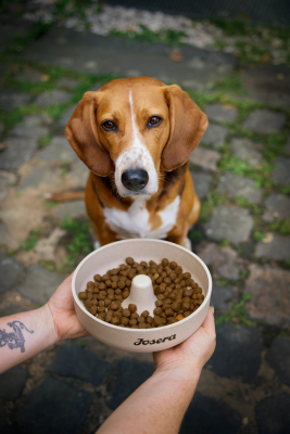 Thumbnail 3: Josera Lamb & Rice 3kg